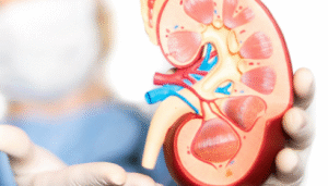 best nephrologist in Bangalore