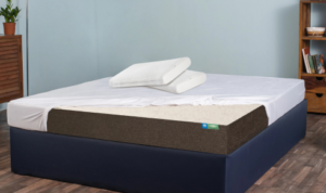 natural latex mattress brands in India